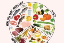 low carbohydrates diet