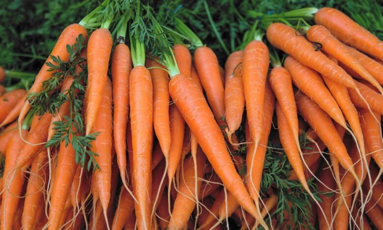 5 Wonderful Health Benefits And Uses Of Carrots