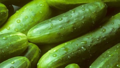 The Top 9 Health Benefits Of Cucumber