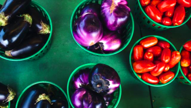 Nightshade Vegetables