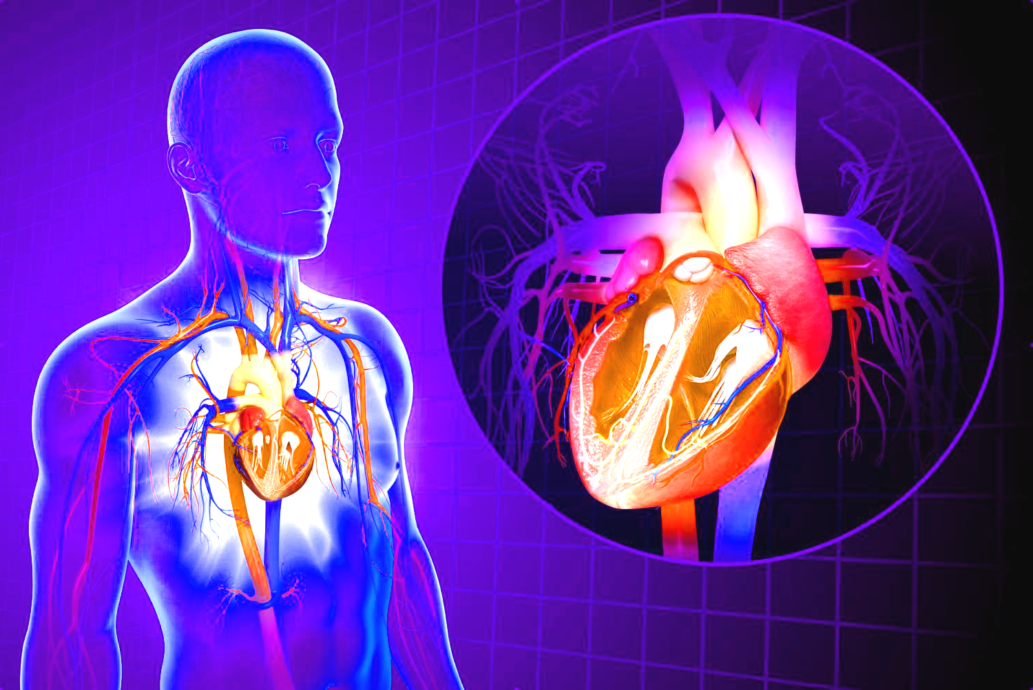 Top 5 Tips for Optimal Heart Health: Love Your Cardiovascular System ...