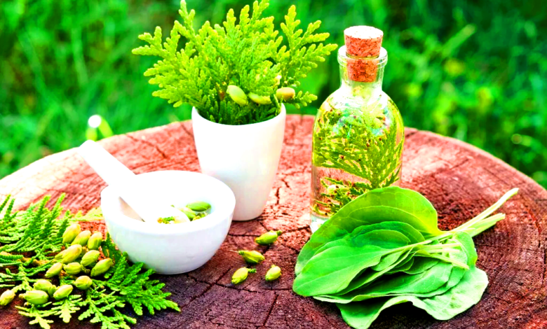 Healing Properties of Herbal Remedies