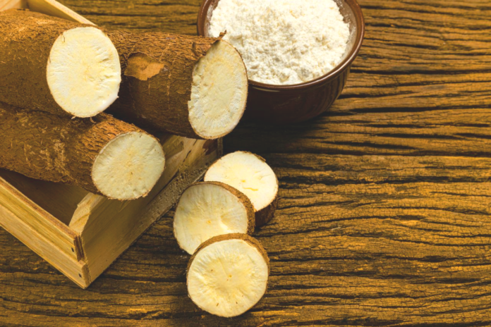 arrowroot flour nutrition