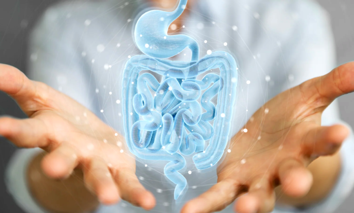 Magnesium for Digestive Health